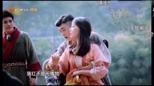 娱乐圈白富美吃瓜