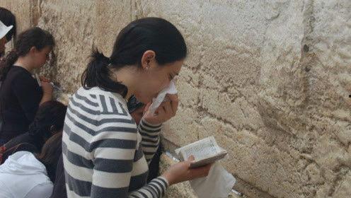 娱乐吃瓜君七七