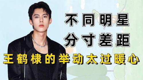 娱乐圈吃瓜王鹤棣微博