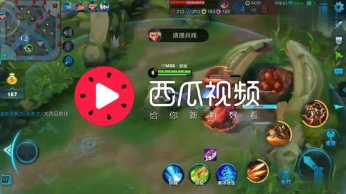 吃瓜娱乐背景音乐叫什么